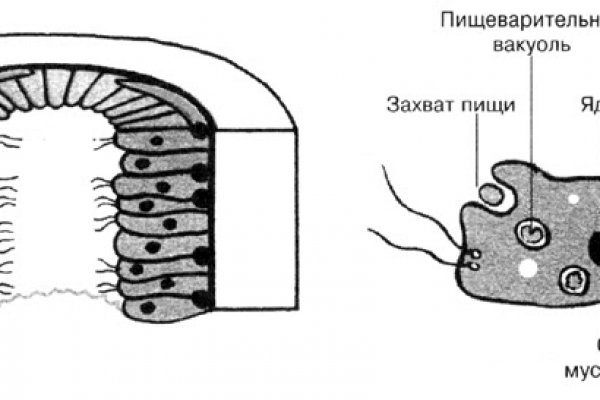 Кракен kr2web in